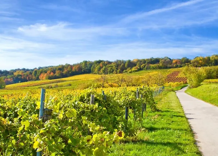 Amelie No 1 & 4* 朗道因德普法尔茨